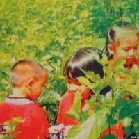 Cerita Sutra Lewat Wisata